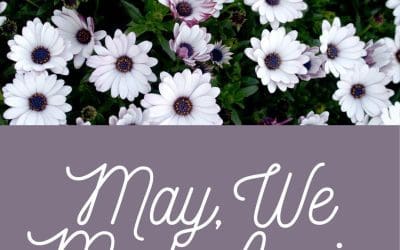 May, We Meet Again