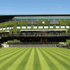 Wimbledon 2025 - Image 3