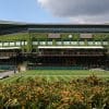 Wimbledon 2025 - Image 4