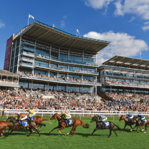 York Races